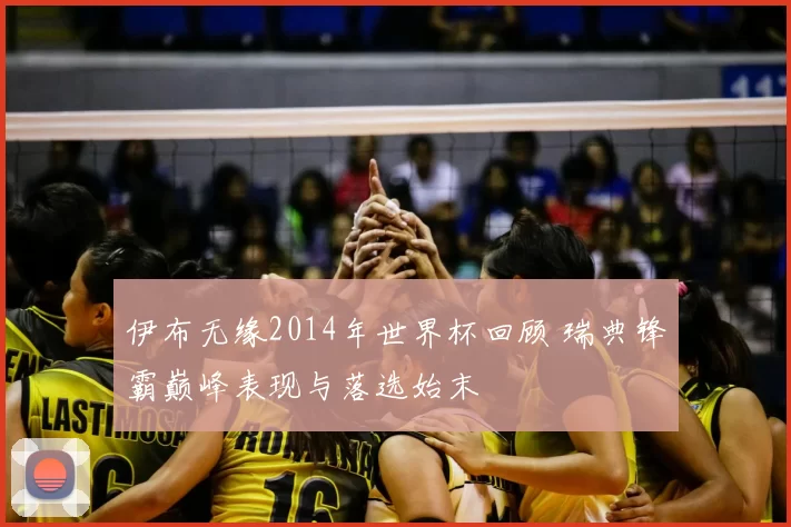 伊布无缘2014年世界杯回顾 瑞典锋霸巅峰表现与落选始末